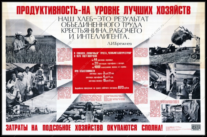 Оригинальный плакат СССР хлеб подсобное хозяйство экономическая эффективность