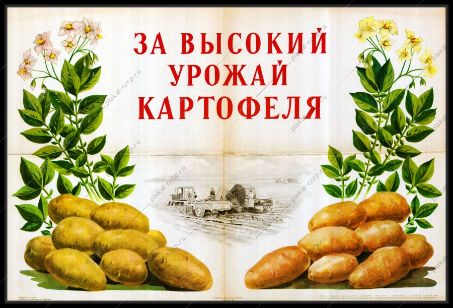 Оригинальный советский плакат за высокий урожай картофеля