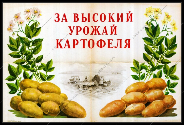 Оригинальный советский плакат за высокий урожай картофеля