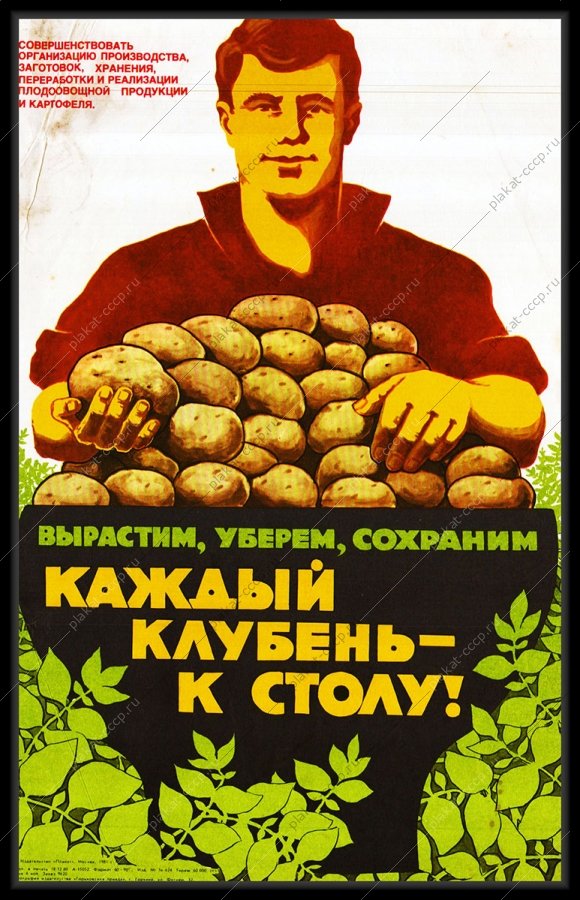 Оригинальный советский плакат каждый клубень к столу картофель