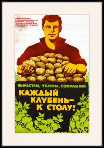 Оригинальный советский плакат каждый клубень к столу картофель
