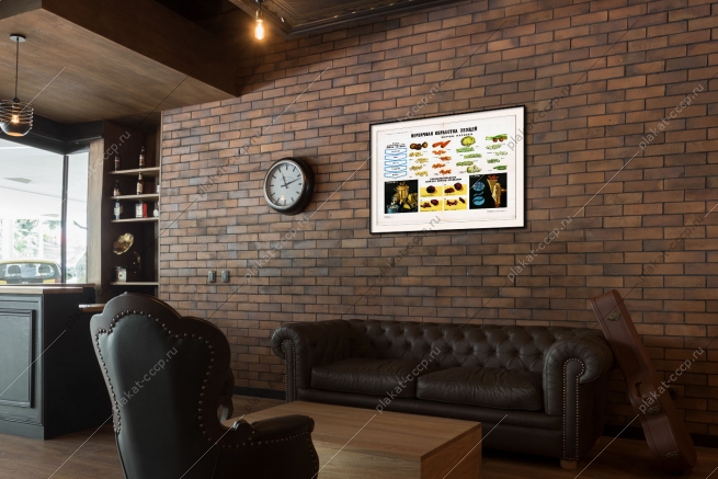 Оригинальный плакат СССР способы консервирования