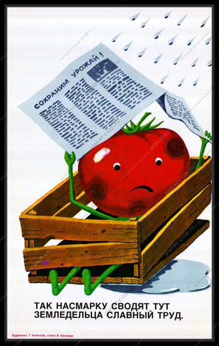 Оригинальный плакат СССР помидор овощи урожай