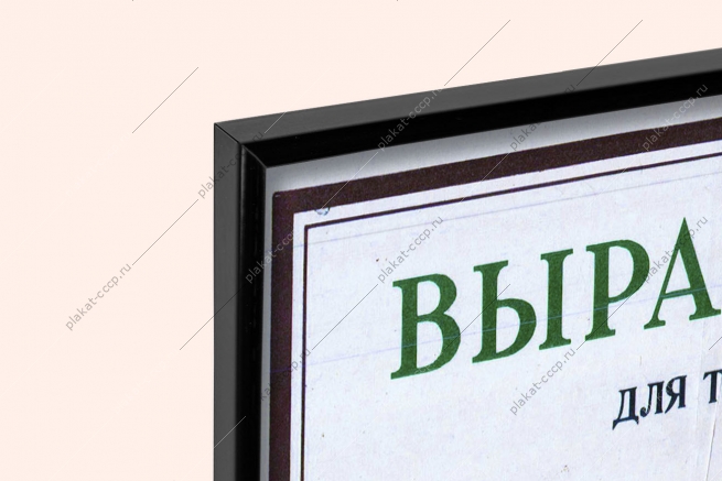 Оригинальный плакат СССР выращивание рассады помидоры в теплице парник помидоры