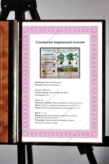 Оригинальный плакат СССР выращивание рассады помидоры в теплице парник помидоры