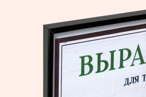 Оригинальный плакат СССР выращивание рассады помидоры в теплице парник помидоры