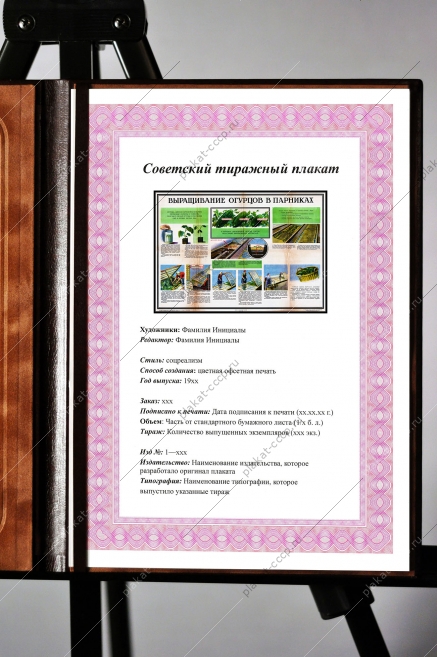 Оригинальный плакат СССР выращивание огурцы парник теплица