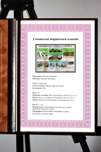 Оригинальный плакат СССР выращивание огурцы парник теплица