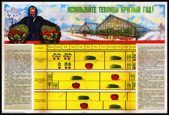 Оригинальный плакат СССР используйте теплицы круглый год парник огурцы помидоры теплица