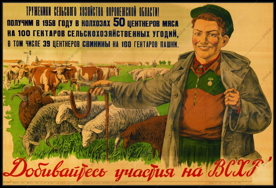 Оригинальный советский плакат добивайтесь участия на ВСХВ овцы бараны животноводство