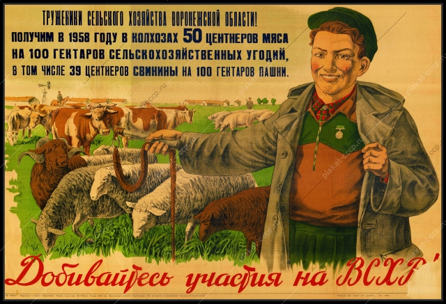 Оригинальный советский плакат добивайтесь участия на ВСХВ овцы бараны животноводство