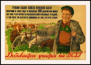 Оригинальный советский плакат добивайтесь участия на ВСХВ овцы бараны животноводство
