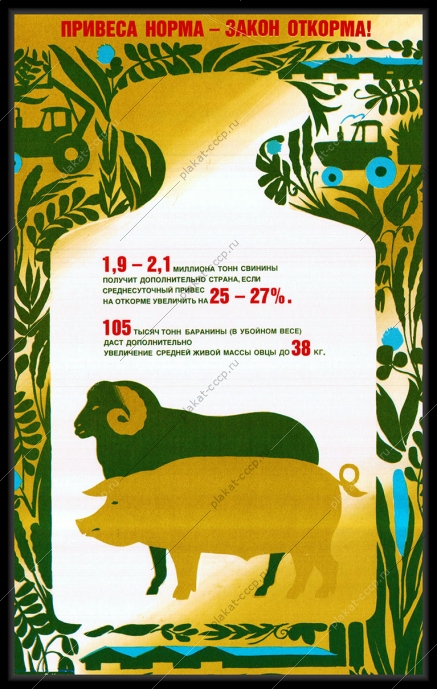 Оригинальный советский плакат СССР привеса норма закон откорма
