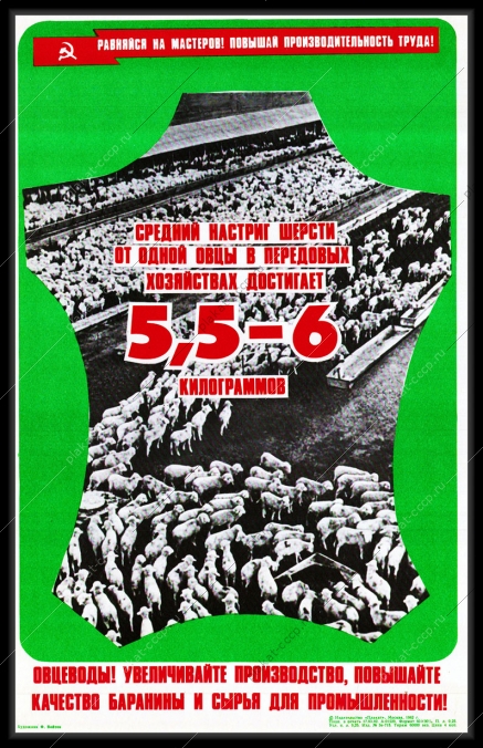Оригинальный плакат СССР настриг шерсти овец овцевод повышение качества баранины стригаль шерсти