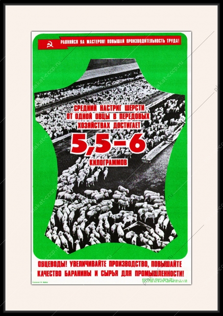 Оригинальный плакат СССР настриг шерсти овец овцевод повышение качества баранины стригаль шерсти