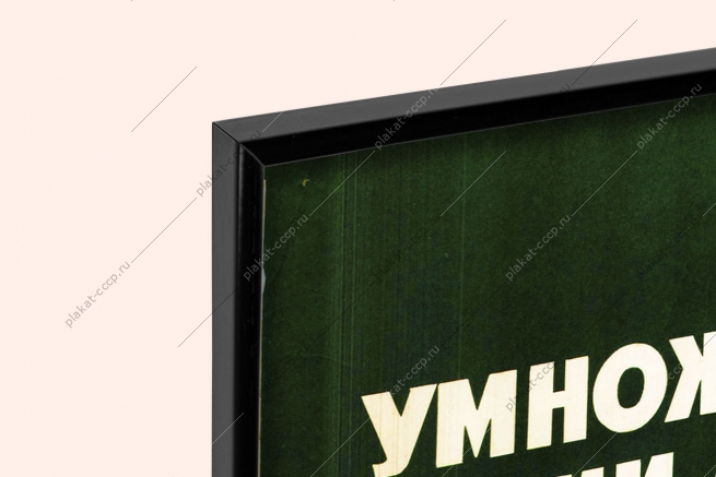 Оригинальный плакат СССР овцеводство овцы умножим наши отары стригаль овец