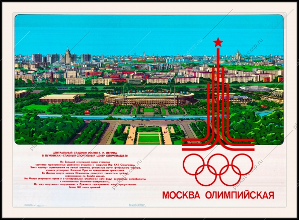 Оригинальный плакат СССР Лужники спорт