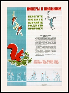 Оригинальный плакат СССР юношеская секция общества охраны природы