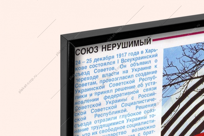 Оригинальный плакат СССР в единой семье Украина