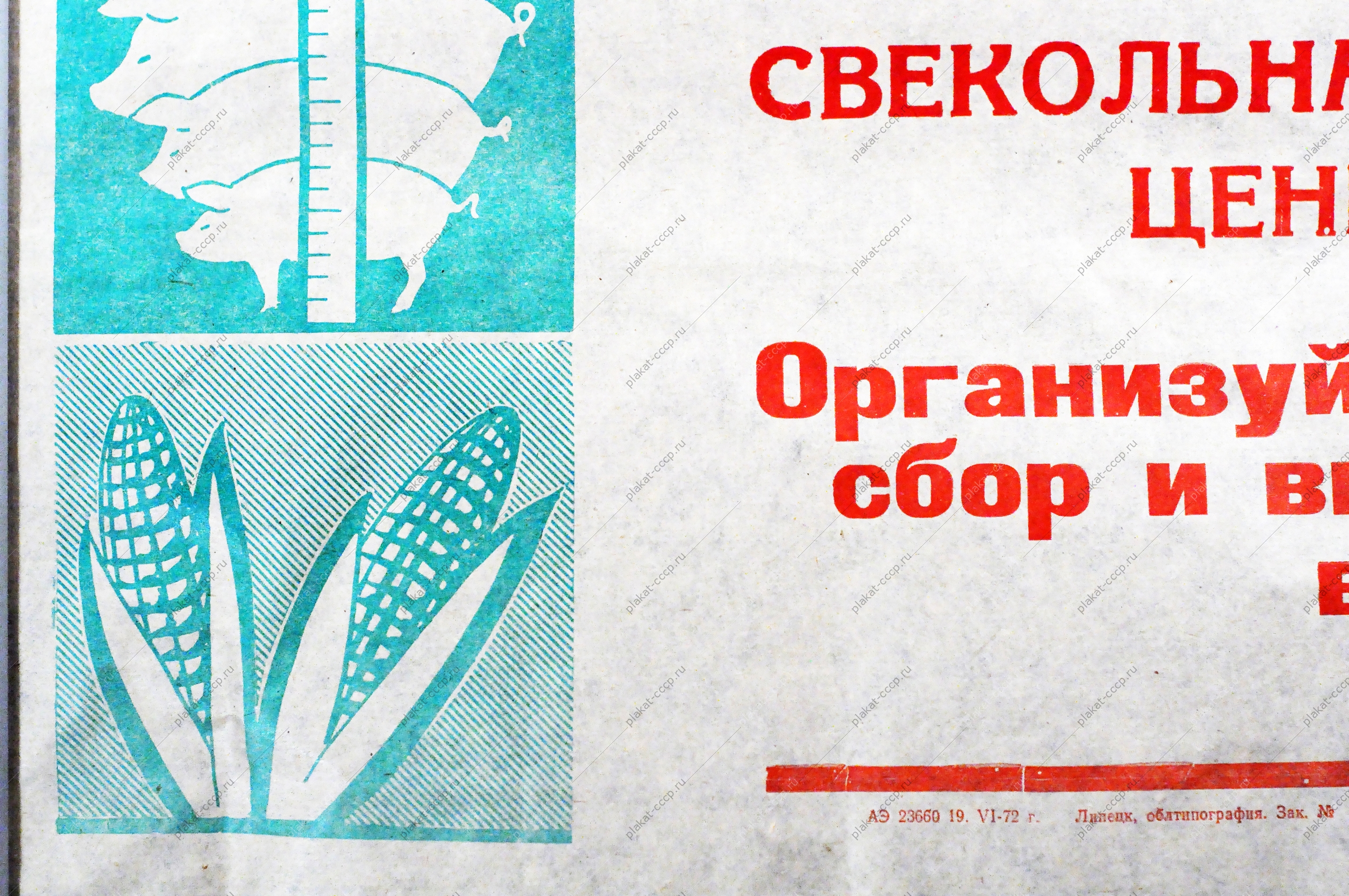 Растяжка плакат СССР: Полеводы и животноводы области Организуйте полный и своевременный сбор и вывозку ботвы на фермы и в силосохранилища 1972 год