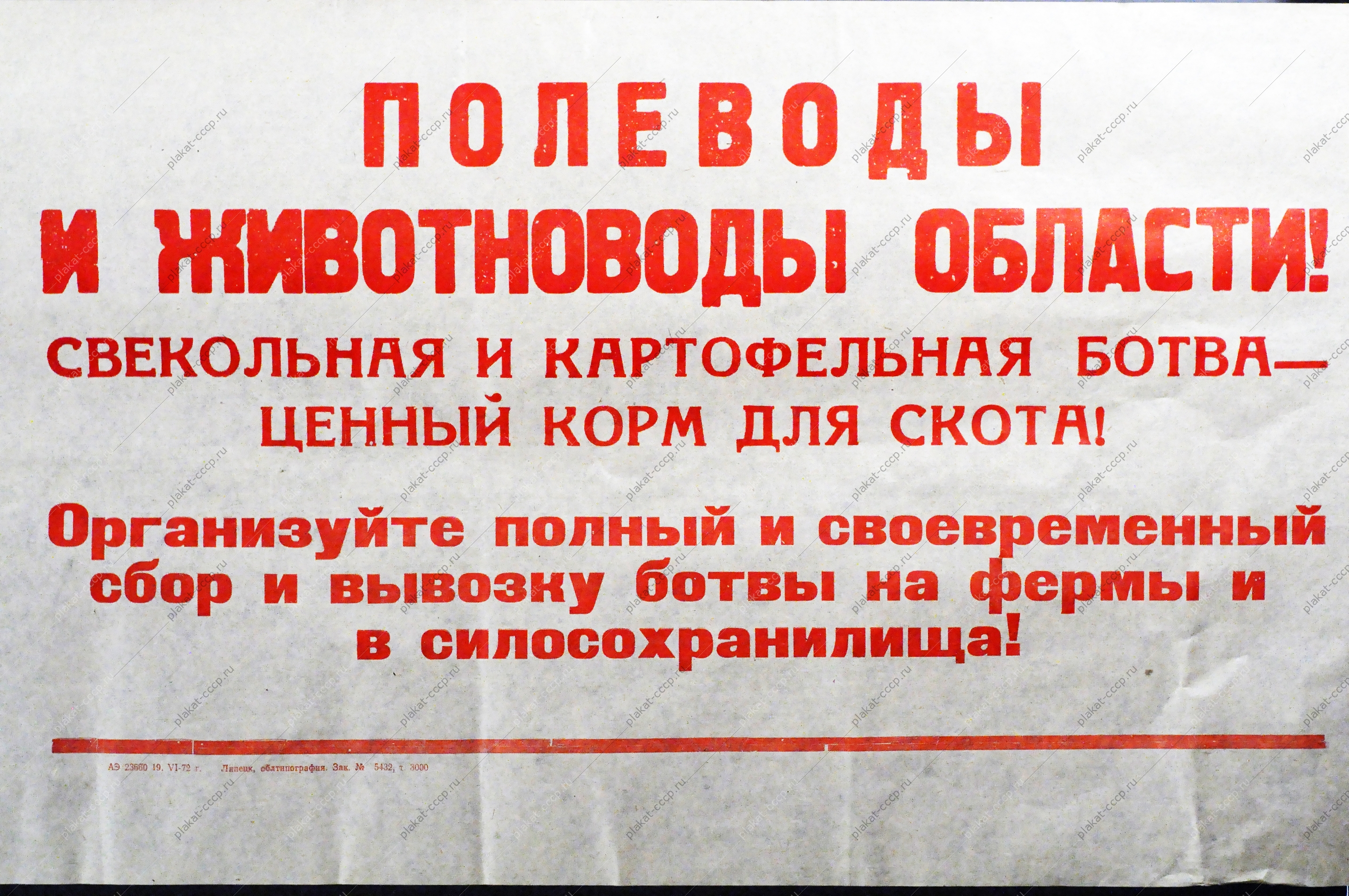 Растяжка плакат СССР: Полеводы и животноводы области Организуйте полный и своевременный сбор и вывозку ботвы на фермы и в силосохранилища 1972 год