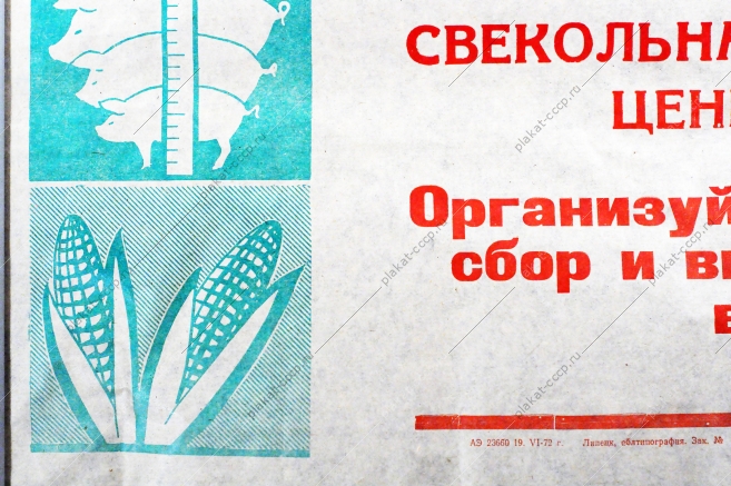 Растяжка плакат СССР: Полеводы и животноводы области Организуйте полный и своевременный сбор и вывозку ботвы на фермы и в силосохранилища 1972 год