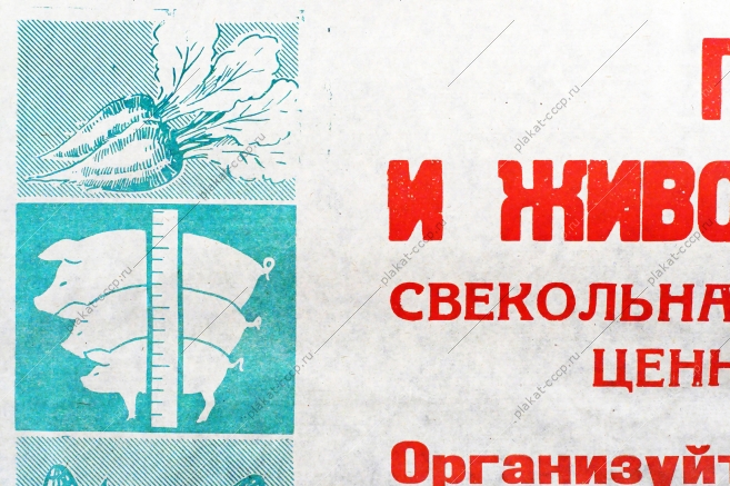 Растяжка плакат СССР: Полеводы и животноводы области Организуйте полный и своевременный сбор и вывозку ботвы на фермы и в силосохранилища 1972 год