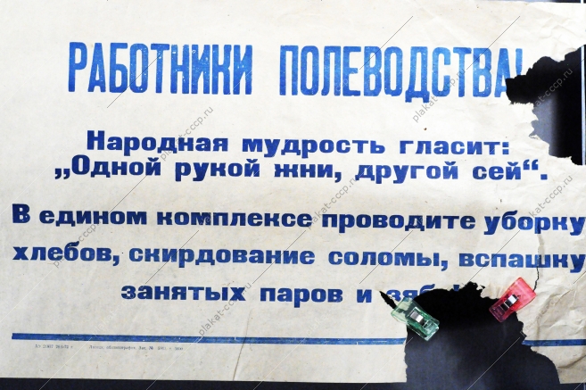 Растяжка-плакат: Работники полеводства В едином комплексе проводите уборку хлебов, скирдование соломы. 1972 год.