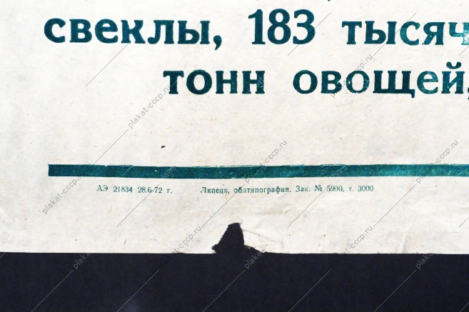 Растяжка плакат СССР: Работники сельского хозяйства области Достойно встретим 50-летие образования СССР 1972 год.