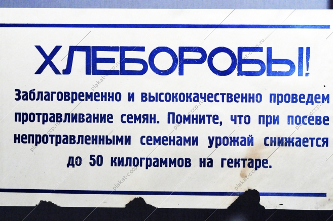 Растяжка плакат: Хлеборобы Заблаговременно и качественно проведем протравливание семян. 1970 год.