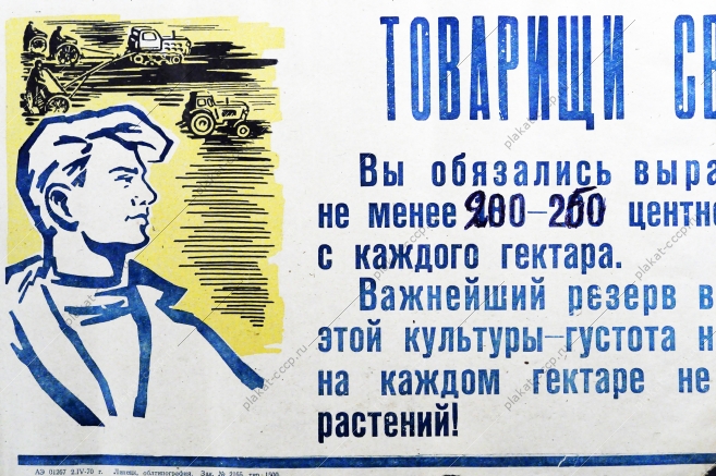 Растяжка плакат СССР: Товарищи свекловоды Вы обязались вырастить в 1970 году не менее 260 центнеров сахарной свеклы с каждого гектара 1970 год