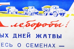 Советский плакат СССР - Хлеборобы С первых дней жатвы заботьтесь о семенах, золотом фонде будущего урожая 1970 год