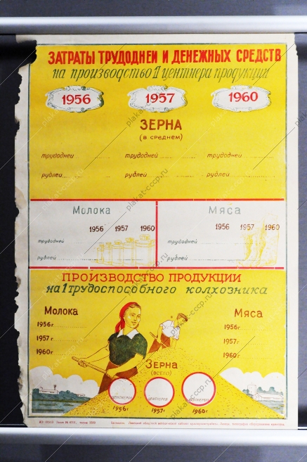 Советский плакат СССР - Рост поголовья скота и повышение его продуктивности, 1956 год