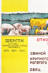 Советский плакат СССР - Рост поголовья скота и повышение его продуктивности, 1956 год