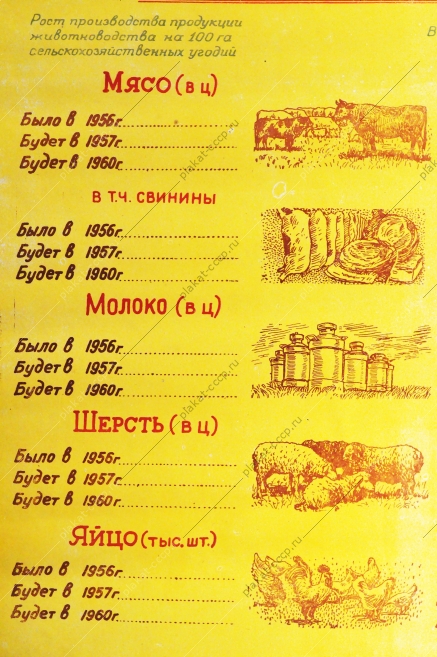 Советский плакат СССР - В ближайшее время догоним США по производства мяса, молока на душу населения, 1956 год