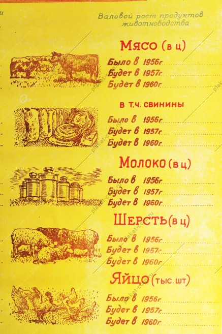 Советский плакат СССР - В ближайшее время догоним США по производства мяса, молока на душу населения, 1956 год