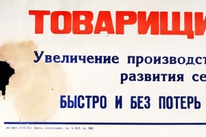 Советский плакат СССР - Товарищи хлеборобы Быстро и без потерь уберем выращенный урожай 1970 год