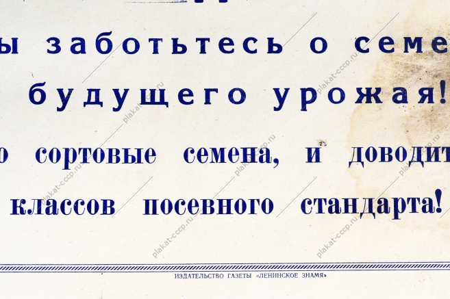 Советский плакат СССР - Работники полеводства С первых дней жатвы позаботьтесь о семенах - золотом фонде будущего урожая 1968 год