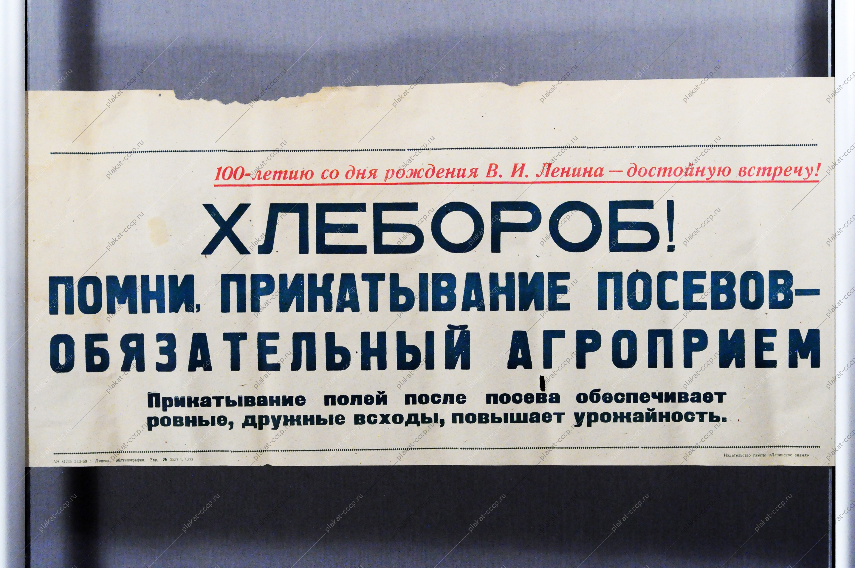 Советский плакат СССР - Хлебороб Помни, прикатывание посевов - обязательный агроприем 1968 год