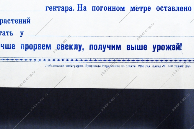 Плакат СССР - листок соревнований по уборке свеклы, 1966 год