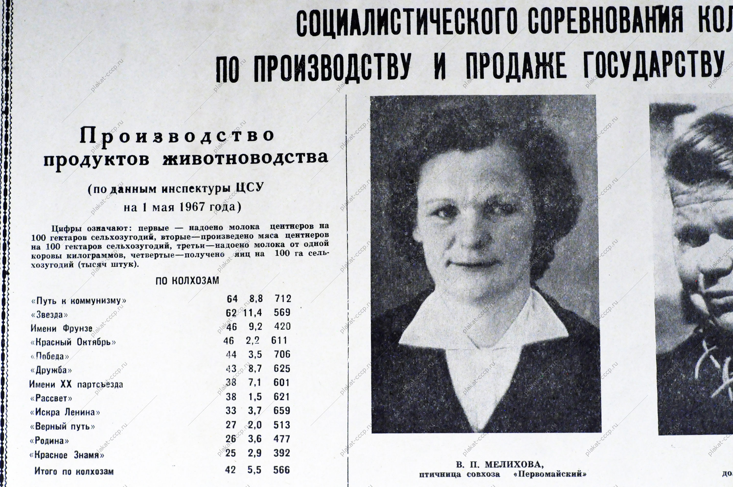 советский тракторист. колхоз соревнование. колхоз скотный двор. колхоз соревнование. советская трактористка.