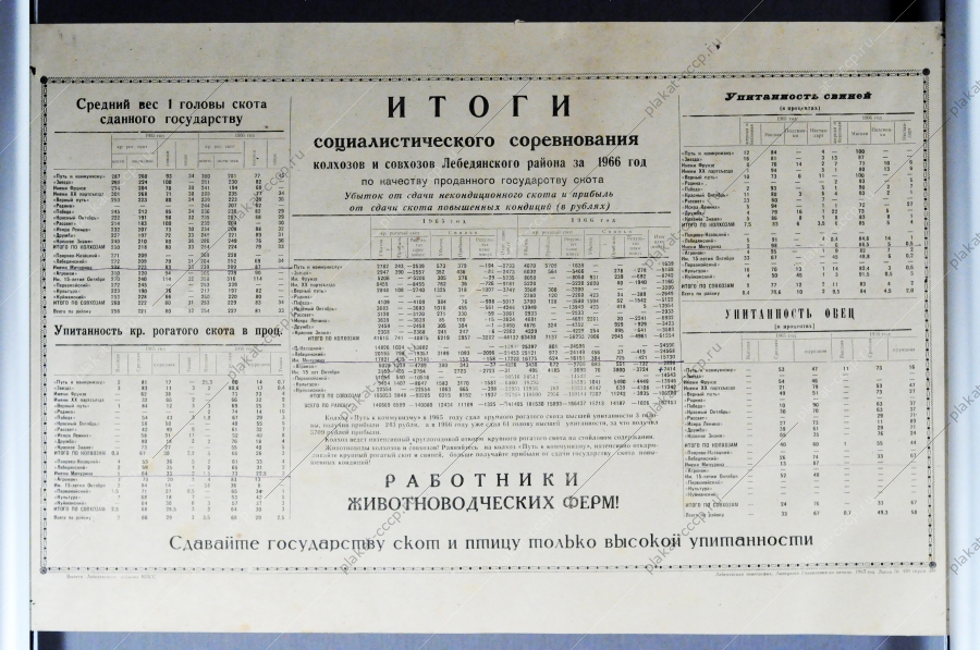 Итоги социалистического соревнования колхозов и совхозов за 1966 год по качеству проданного государству скота