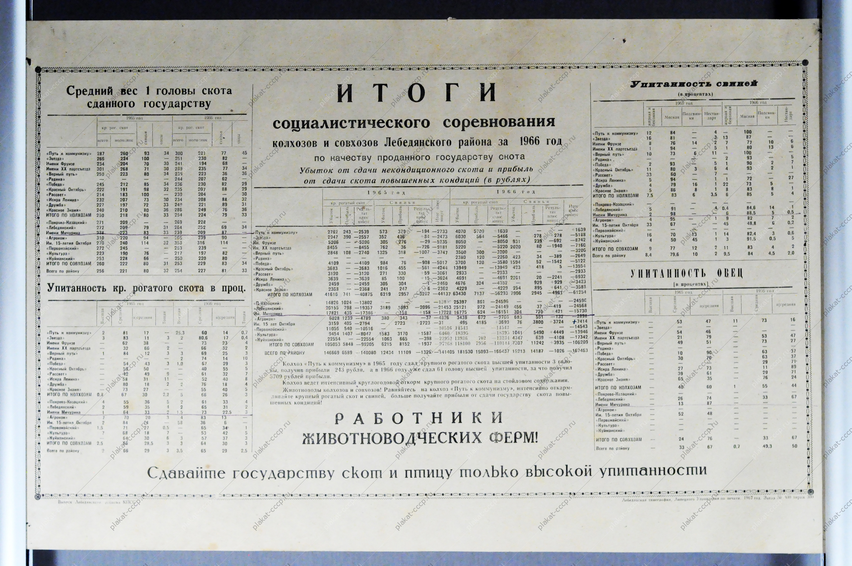 Итоги социалистического соревнования колхозов и совхозов за 1966 год по качеству проданного государству скота