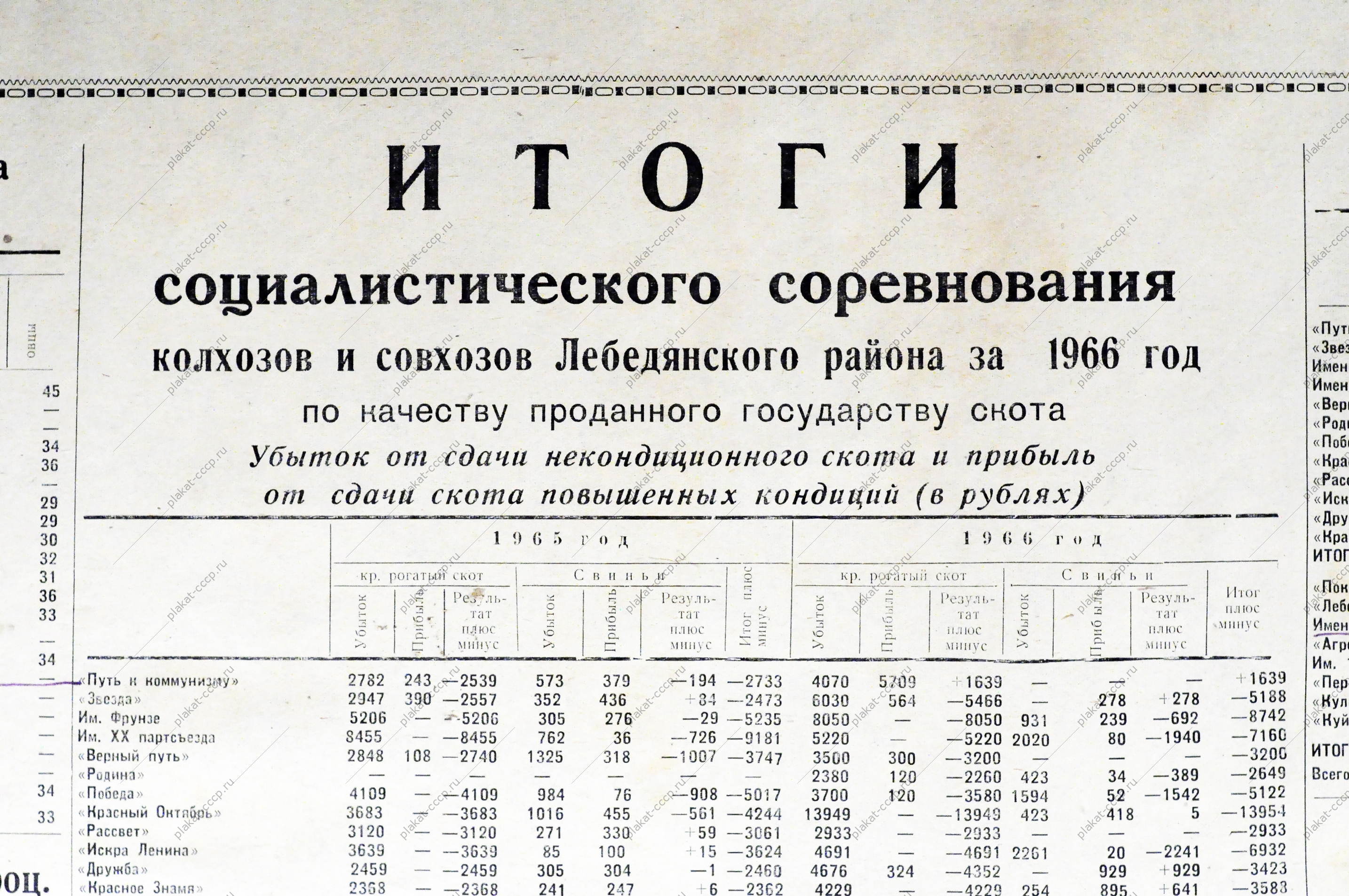 Итоги социалистического соревнования колхозов и совхозов за 1966 год по качеству проданного государству скота