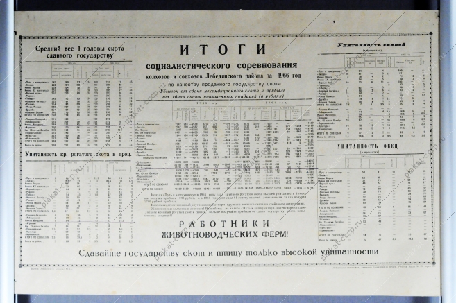 Итоги социалистического соревнования колхозов и совхозов за 1966 год по качеству проданного государству скота