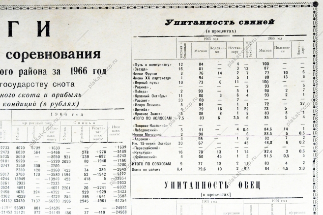 Итоги социалистического соревнования колхозов и совхозов за 1966 год по качеству проданного государству скота