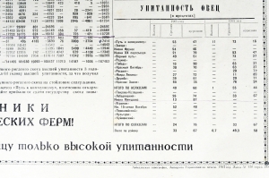 Итоги социалистического соревнования колхозов и совхозов за 1966 год по качеству проданного государству скота