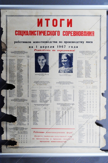 Плакат СССР - Итоги социалистического соревнования работников животноводства по производству мяса на 1 апреля 1967 года