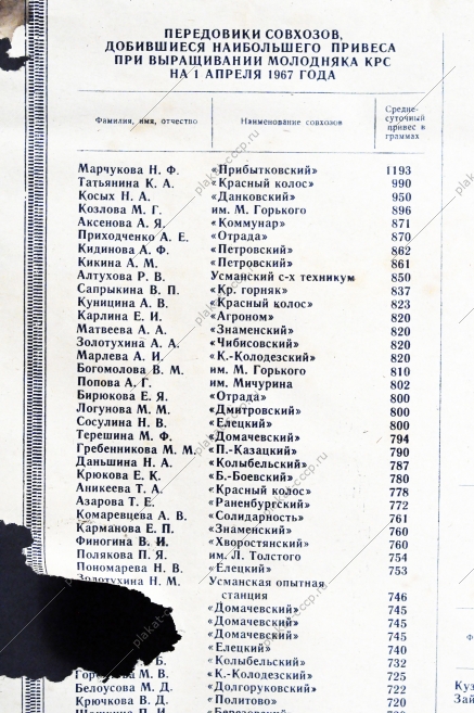 Плакат СССР - Итоги социалистического соревнования работников животноводства по производству мяса на 1 апреля 1967 года