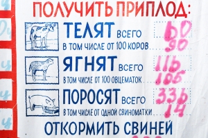 Советский плакат СССР Социалистическое обязательство 'За что борется наш колхоз в 1956 году' 1956 год